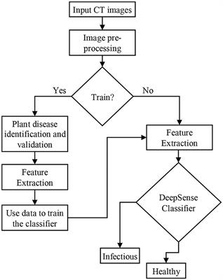 Analysis of COVID-19 Infections on a CT Image Using DeepSense Model